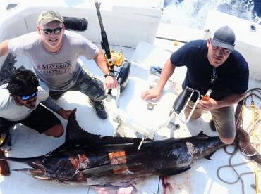 Manzanillo Report Photo 1