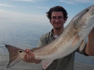 Sulphur Report Photo 1