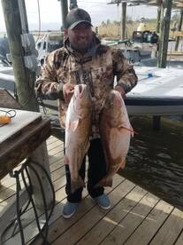 Sulphur Report Photo 2