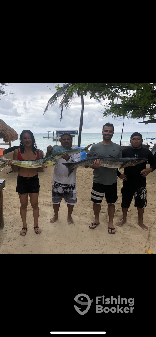 Playa Del Carmen Report Photo 0
