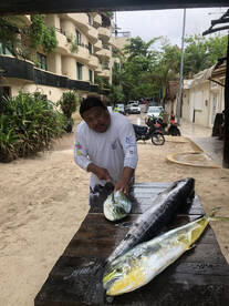 Playa Del Carmen Report Photo 2