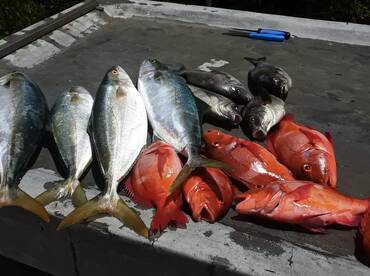 Dad's and lads trip this morning