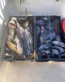 Montauk Report Photo 2