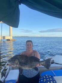 Big drum and pompano