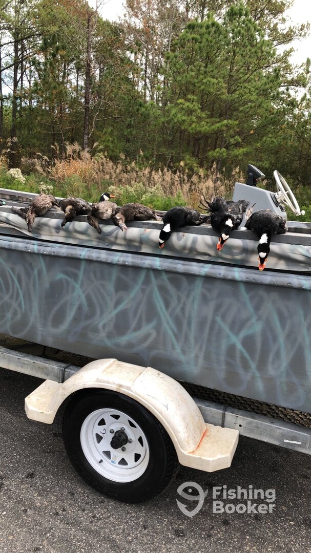 Poquoson Report Photo 0