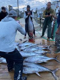 Wanchese Report Photo 1