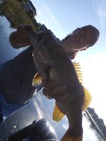 All we do is out you on fish