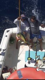 Playa Flamingo Report Photo 1