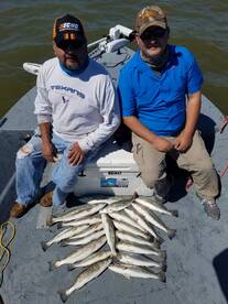 Nicks birthday gift.