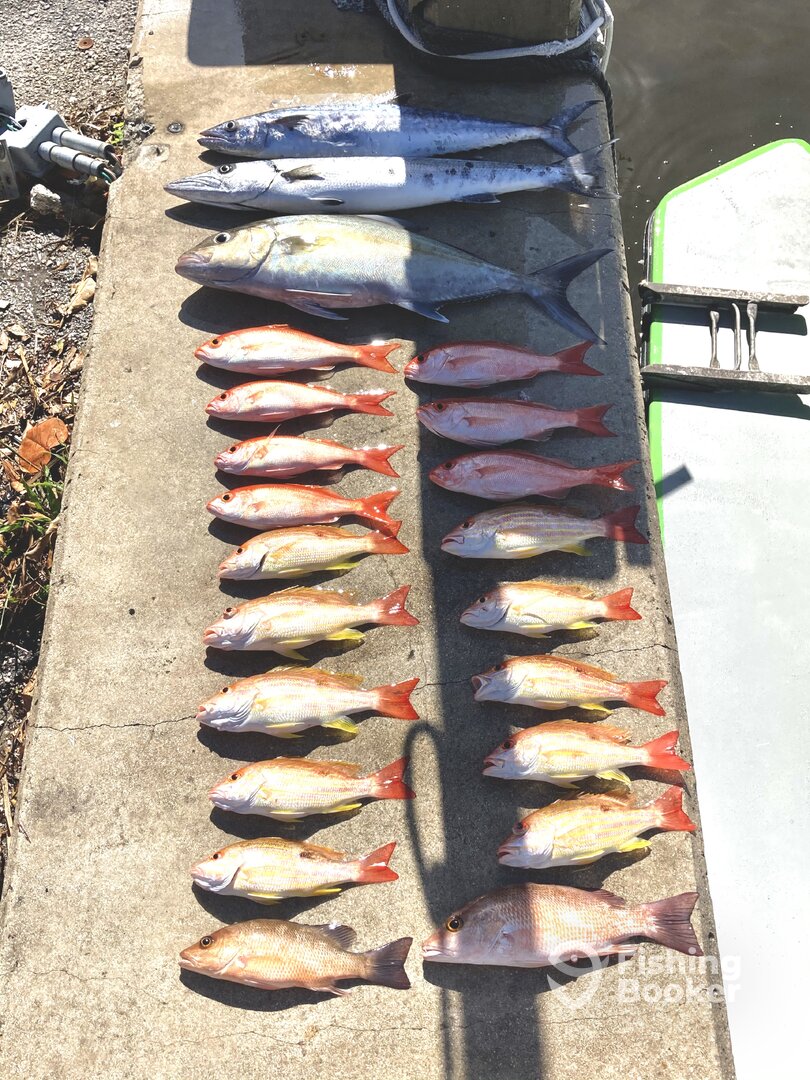 Dania Beach Report Photo 0