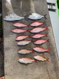 Dania Beach Report Photo 1