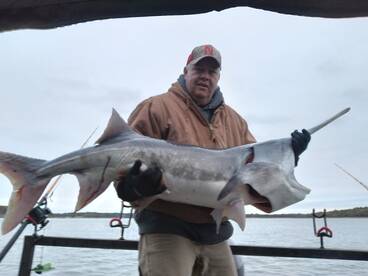 Paddlefish beat down! October!!!