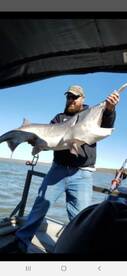 November paddlefish roundup! 