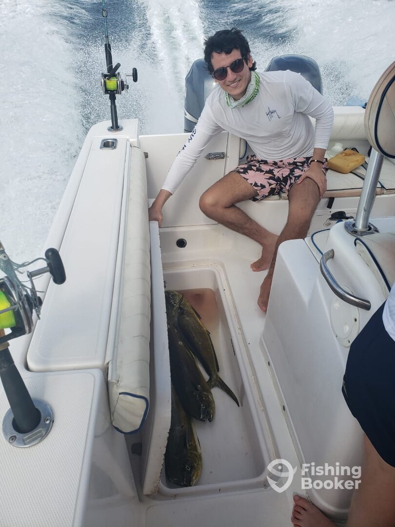 Panama City Report Photo 0