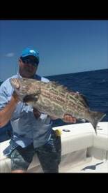 Key West Report Photo 1