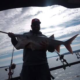 Paddlefish roundup! 