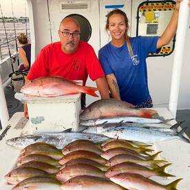 Yellowtail snappers are snapping!  Mutto