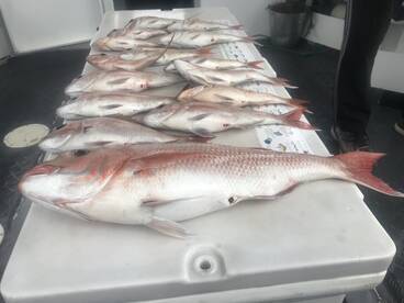 Melbourne Report Photo 1