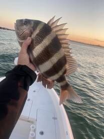 Winter Convicts (Sheapshead Fishing)