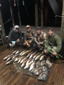 Venice Report Photo 1