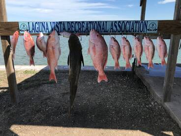 South Padre Island Report Photo 2