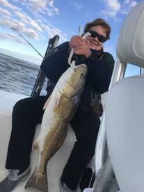 Venice Report Photo 1