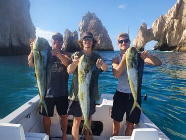 Cabo San Lucas Report Photo 2