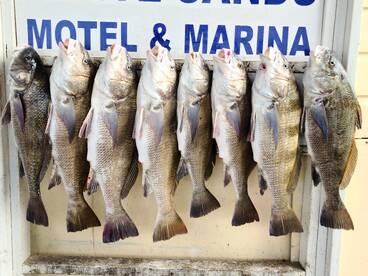 This could happen to you winter fishing 