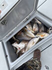 Winter Fishing Is Awesome!! 