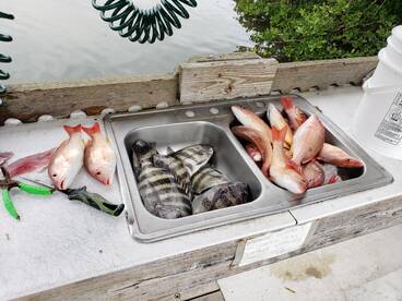 Wintertime bite is heating up!