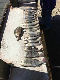 Port O'Connor Report Photo 2