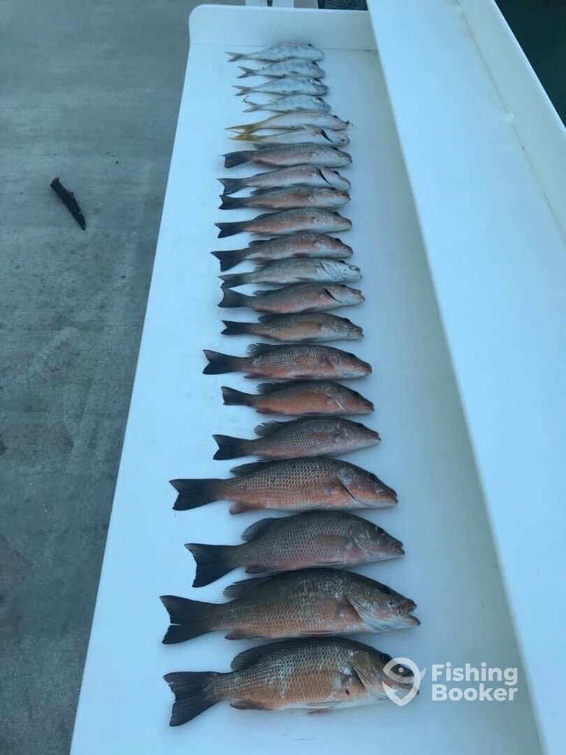Islamorada Report Photo 0
