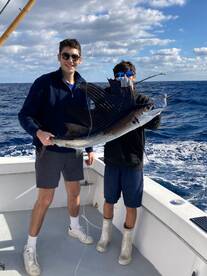Dania Beach Report Photo 1