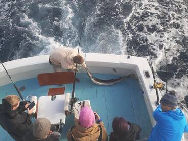 Boynton Beach Report Photo 2