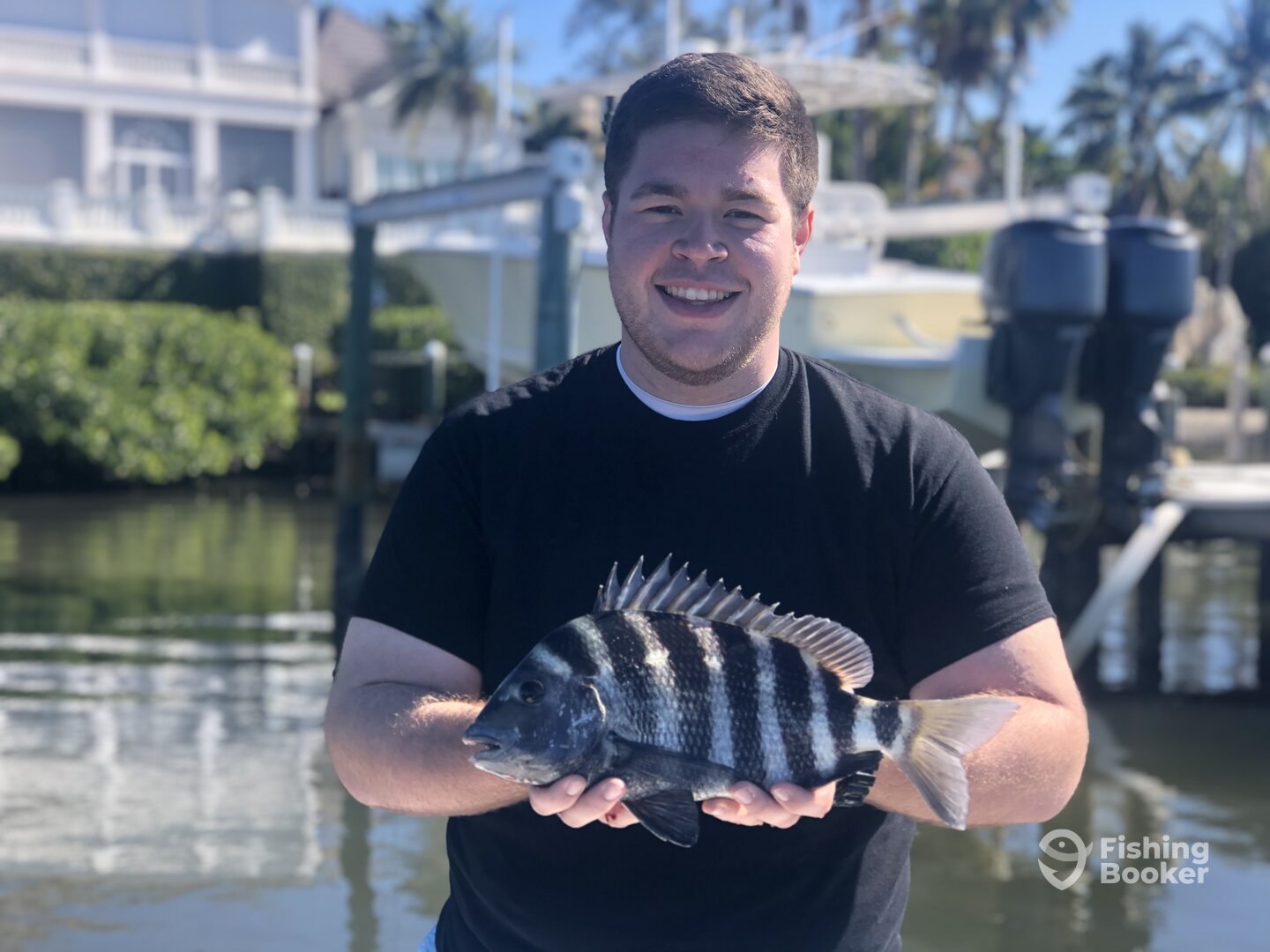 Sarasota Report Photo 0