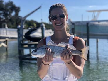 Sarasota Report Photo 1