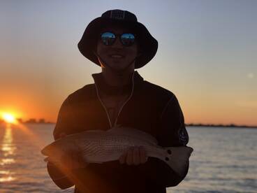 Sarasota Report Photo 2