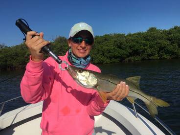 Sarasota Report Photo 1