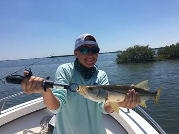 Sarasota Report Photo 2