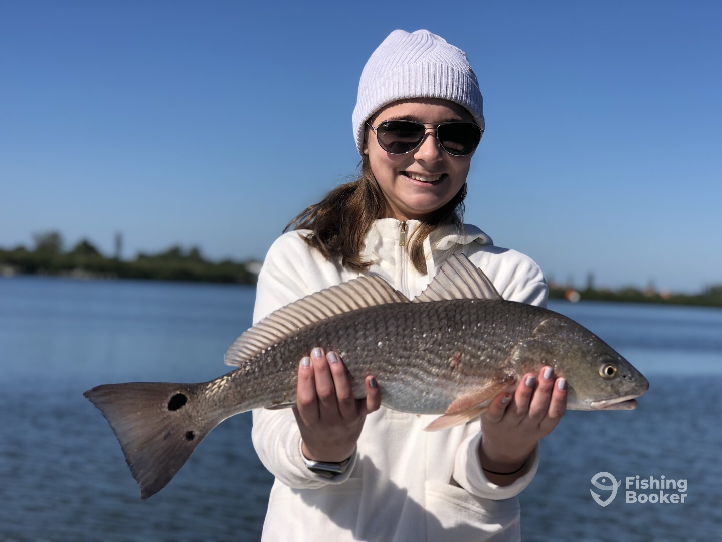 Sarasota Report Photo 0