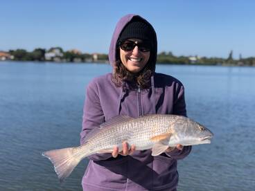 Sarasota Report Photo 1