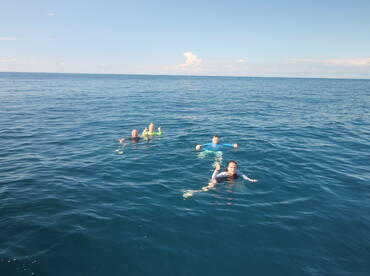 Quepos Report Photo 2