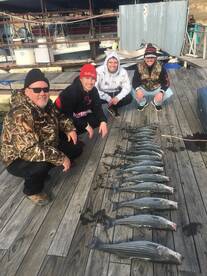 Pottsboro Report Photo 2