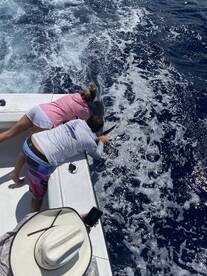 Herradura Report Photo 2