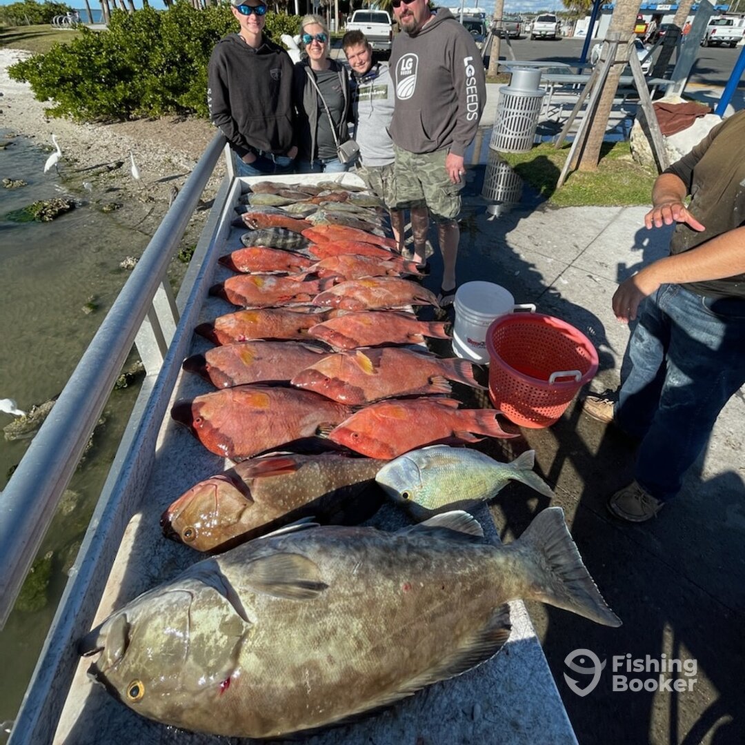 Clearwater Report Photo 0