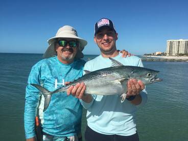 False Albacore running the beaches! 