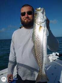 Will with a Nice Spot