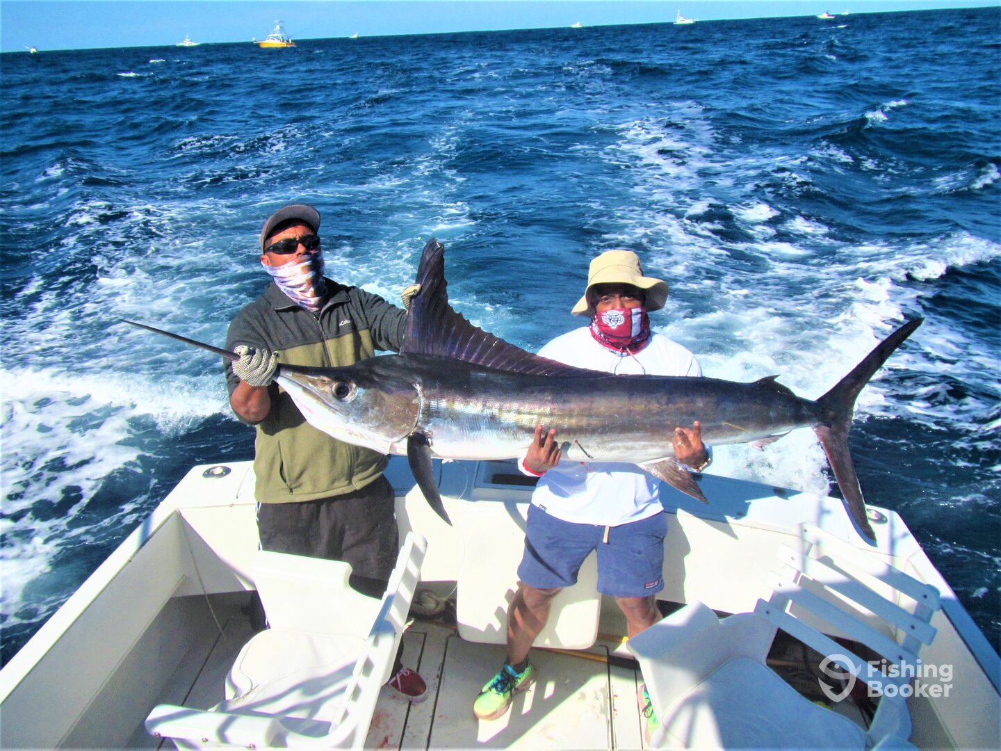 Cabo San Lucas Report Photo 0
