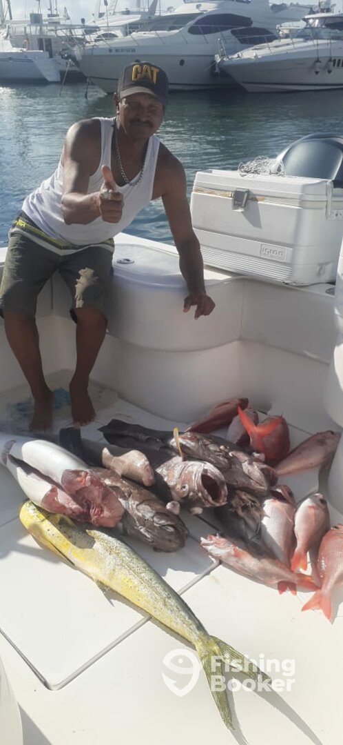 Cartagena de Indias Report Photo 0