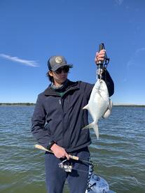 Marco Island Report Photo 2
